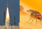 விண்வெளிக்கு பறக்கும் பூச்சிகள்.. ககன்யான் திட்டத்தில் பெரிய ட்விஸ்ட் இருக்கு! என்ன காரணம் தெரியுமா