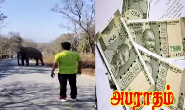 யானையை சீண்டியவருக்கு ரூ.25 ஆயிரம் அபராதம்